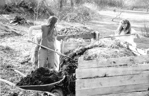 [Paige and Jeanine at compost bins]